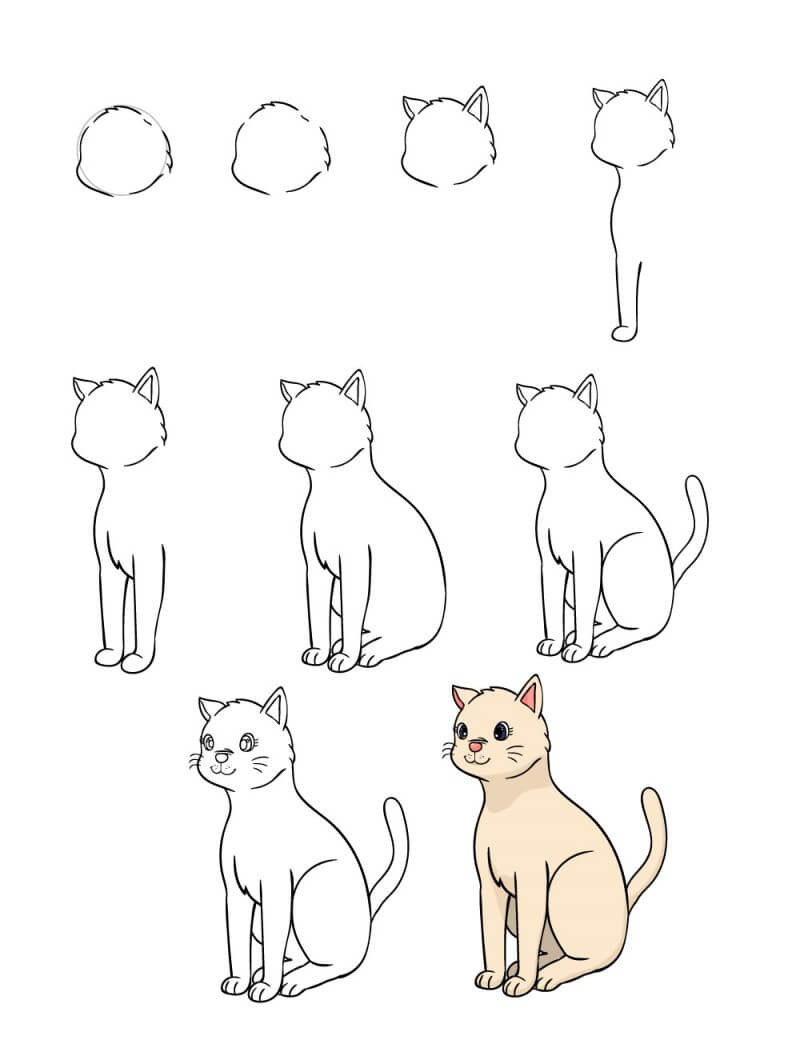 Kissa-idea 3 piirustus