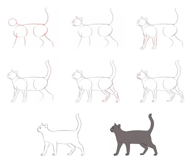 Kissa ideoita (60) piirustus