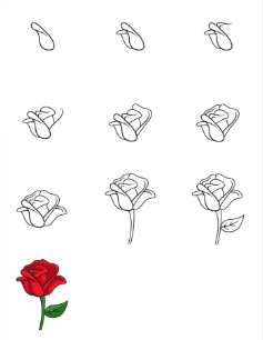 Ruusu-ideoita 3 piirustus