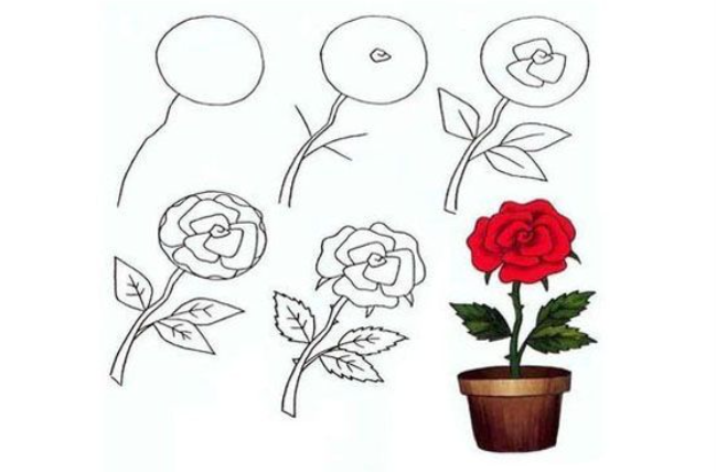 Ruusu-ideoita 7 piirustus