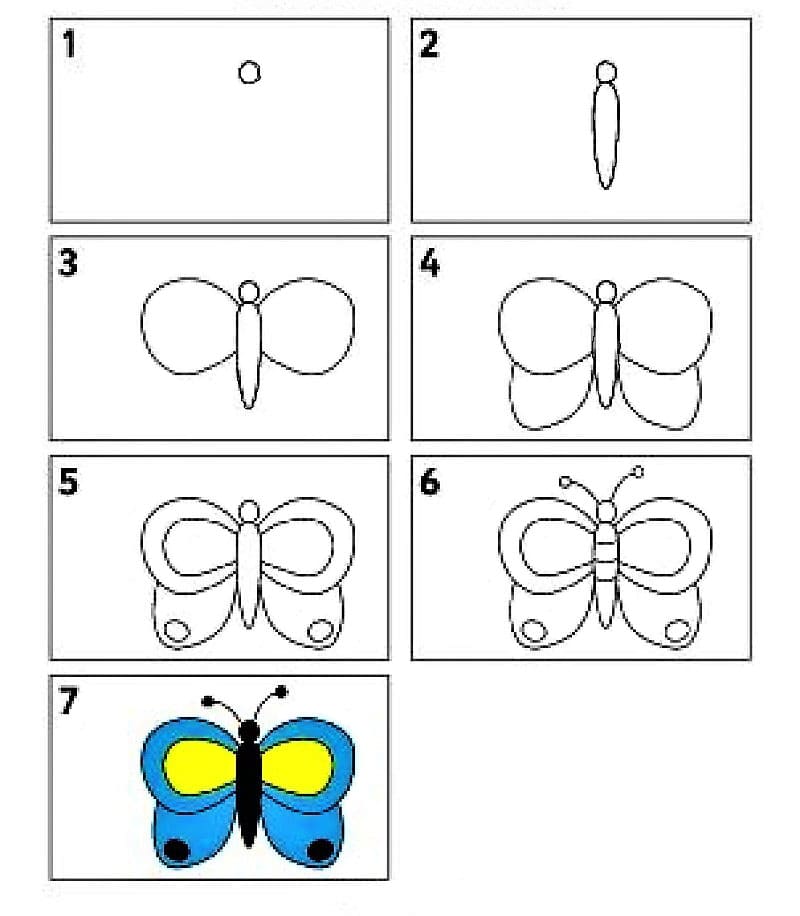 Yksinkertainen perhonen piirustus