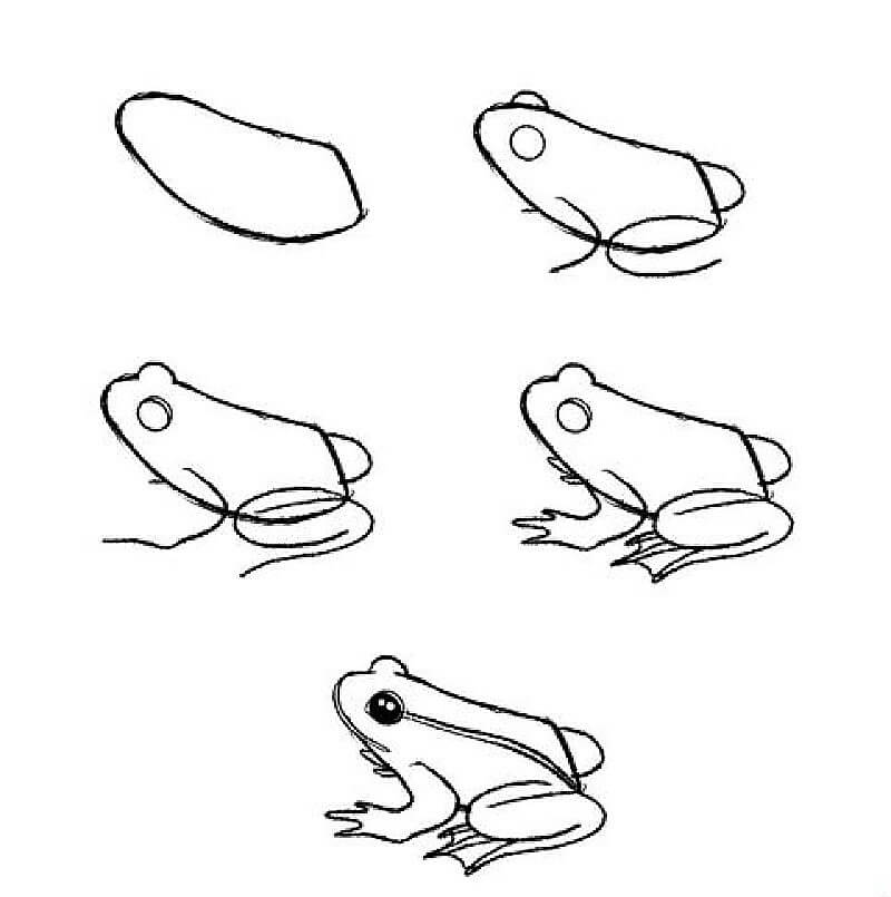 Aasialainen sammakko piirustus