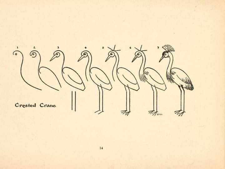 Crested Crane piirustus