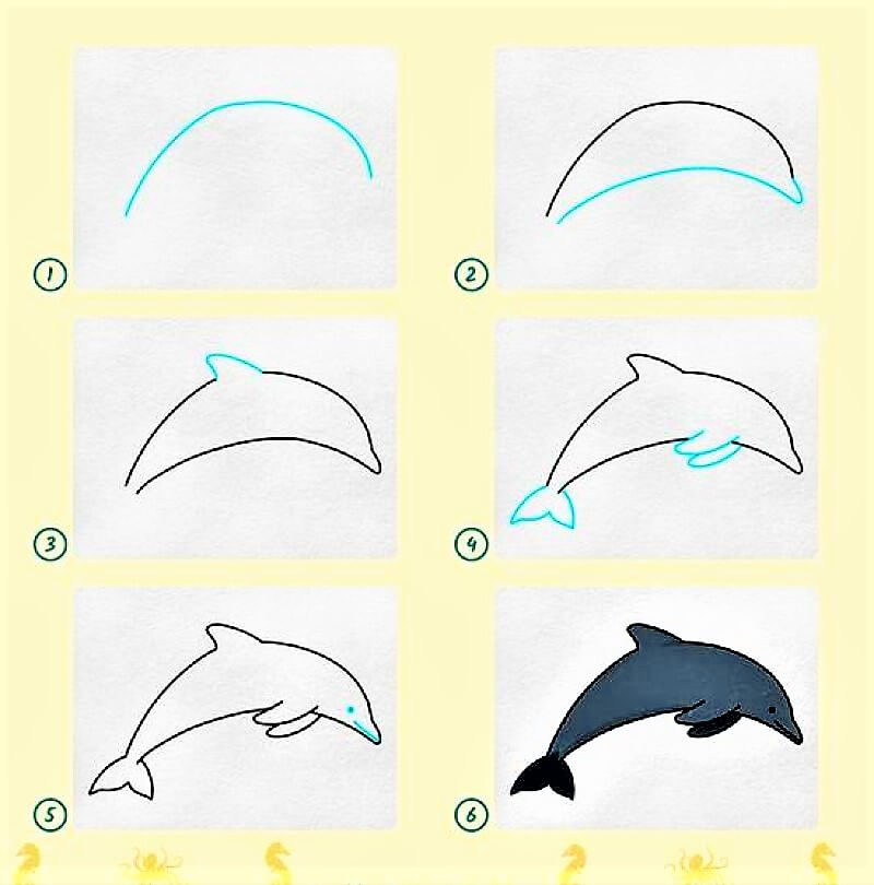 Delfiini-idea 10 piirustus