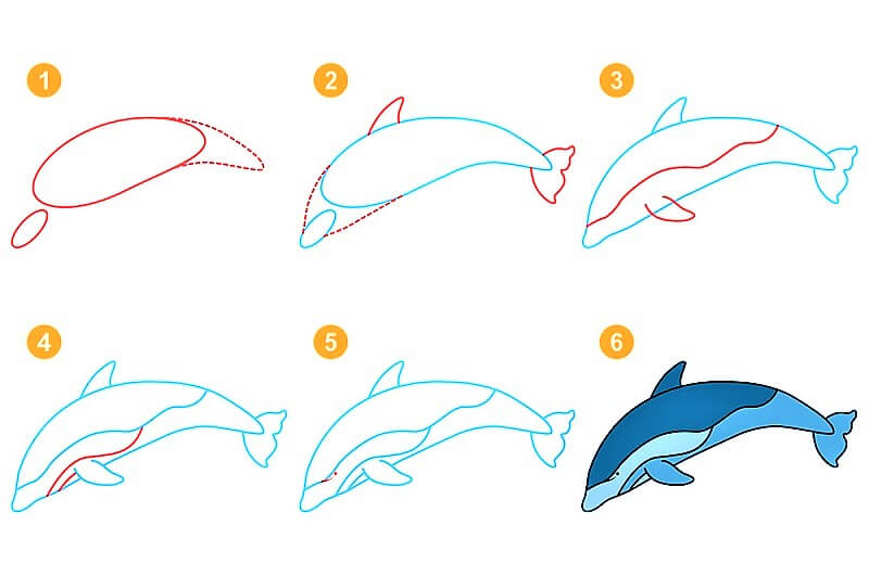 Delfiini-idea 11 piirustus
