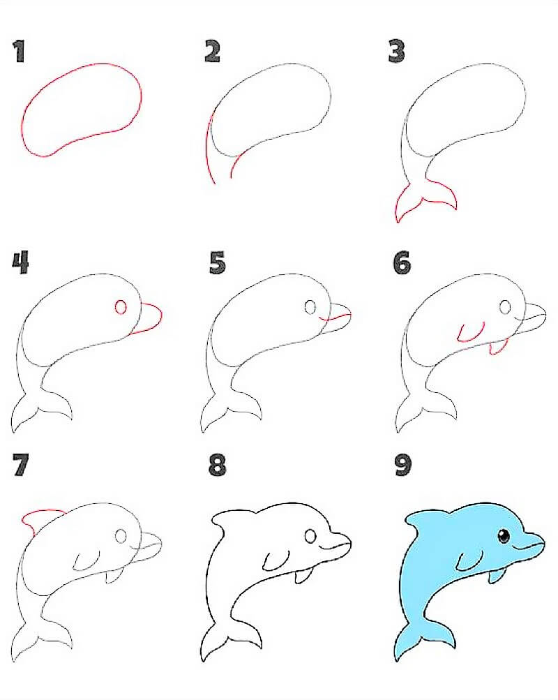 Delfiini-idea 12 piirustus