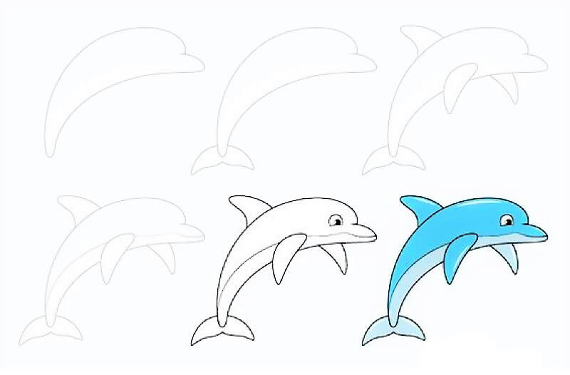 Delfiini-idea 13 piirustus