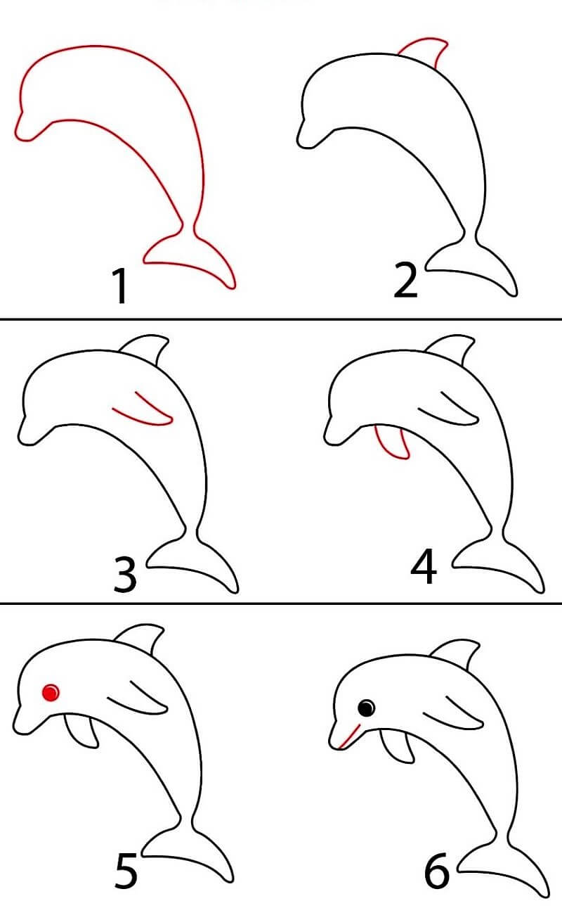 Delfiini-idea 16 piirustus