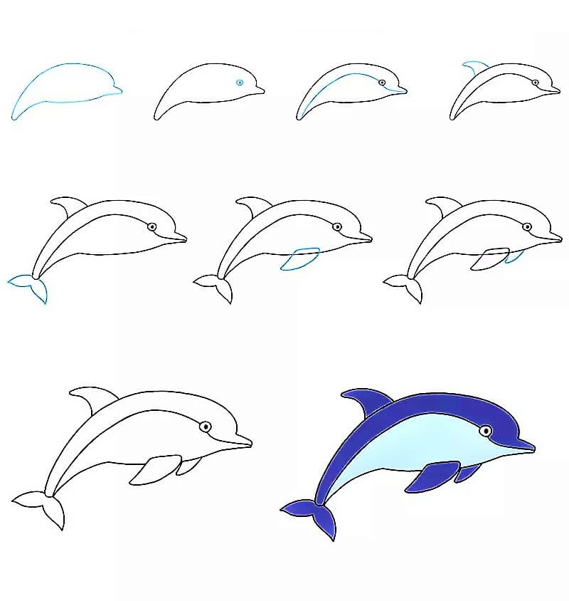 Delfiini-idea 17 piirustus