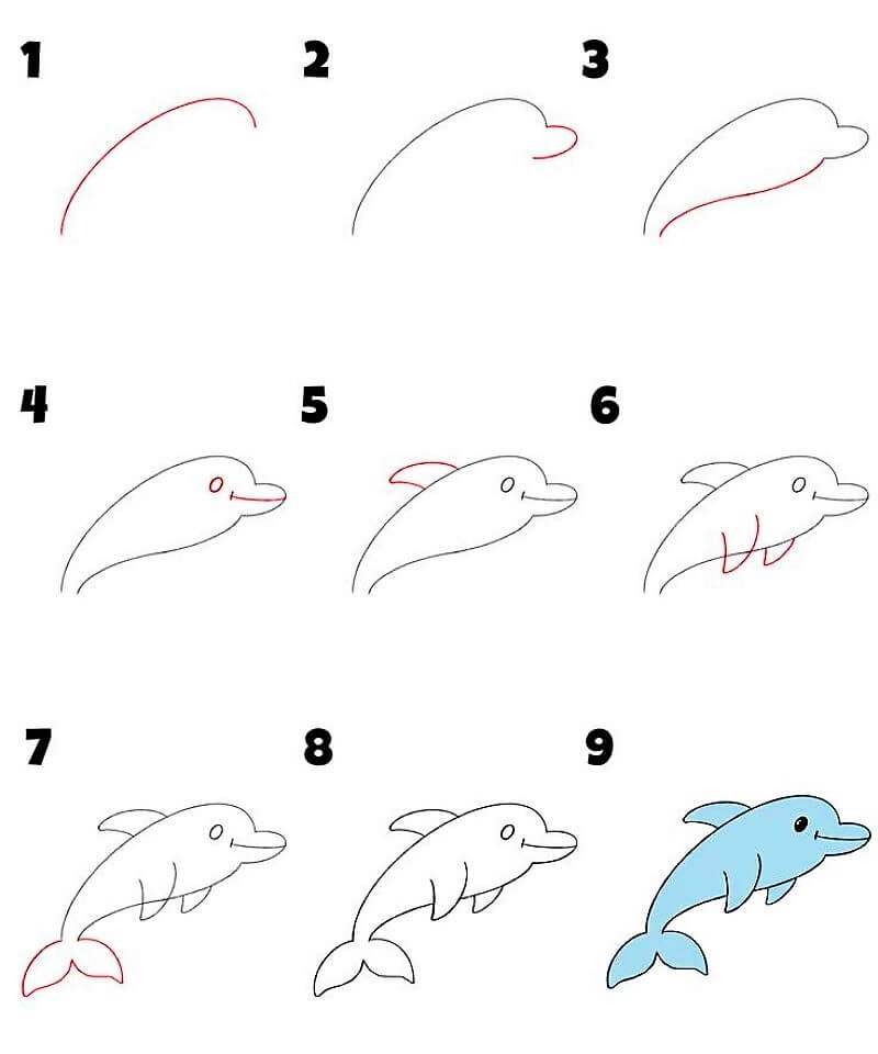 Delfiini-idea 19 piirustus