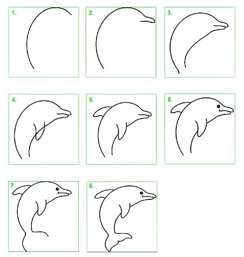 Delfiini-idea 20 piirustus