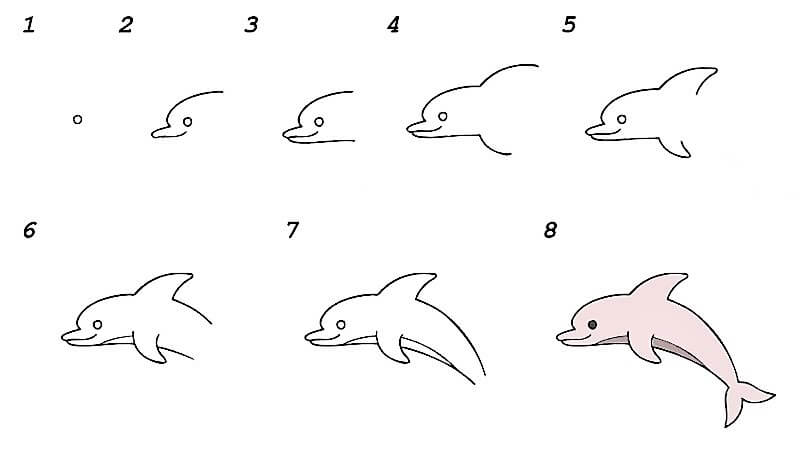 Delfiini-idea 21 piirustus
