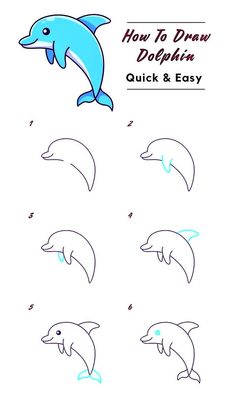 Delfiini-idea 23 piirustus