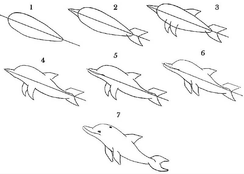Delfiini-idea 5 piirustus