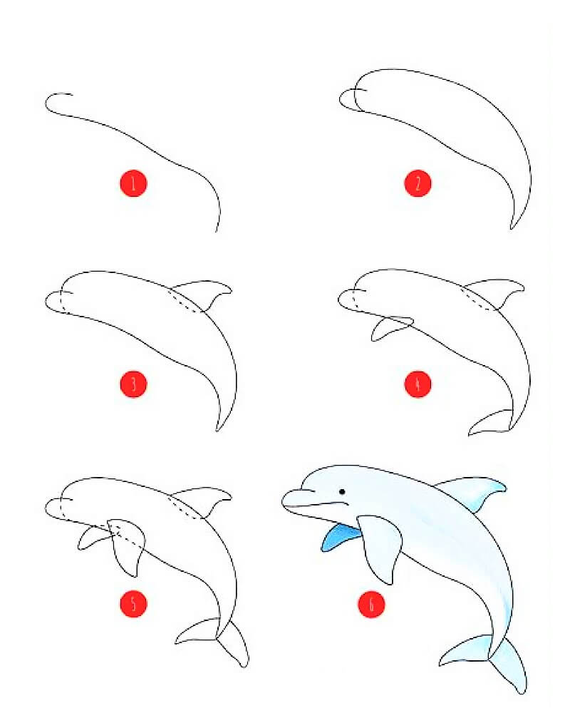 Delfiini-idea 7 piirustus