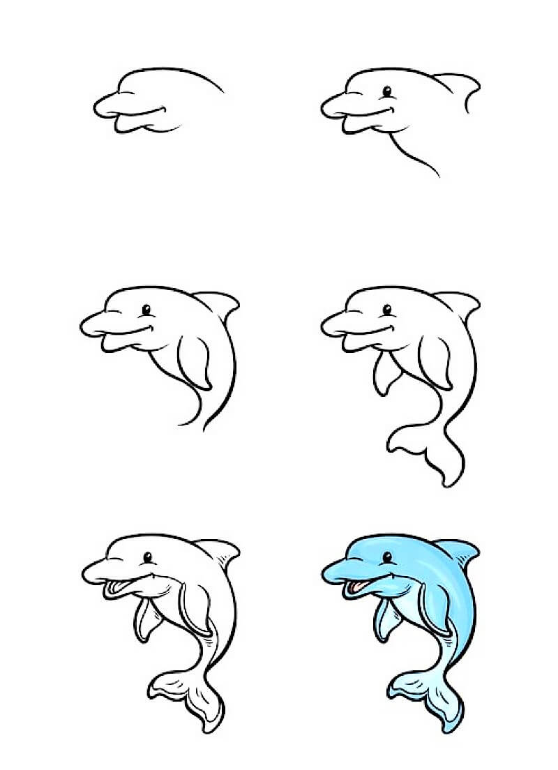 Delfiini-idea 8 piirustus