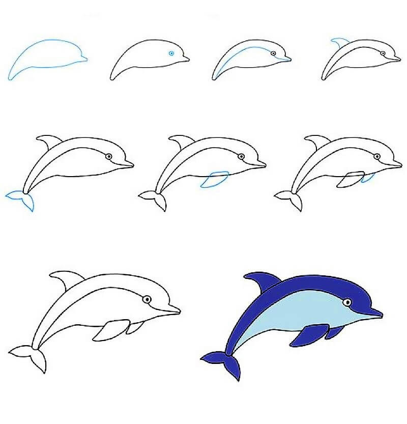 Delfiini-idea 9 piirustus