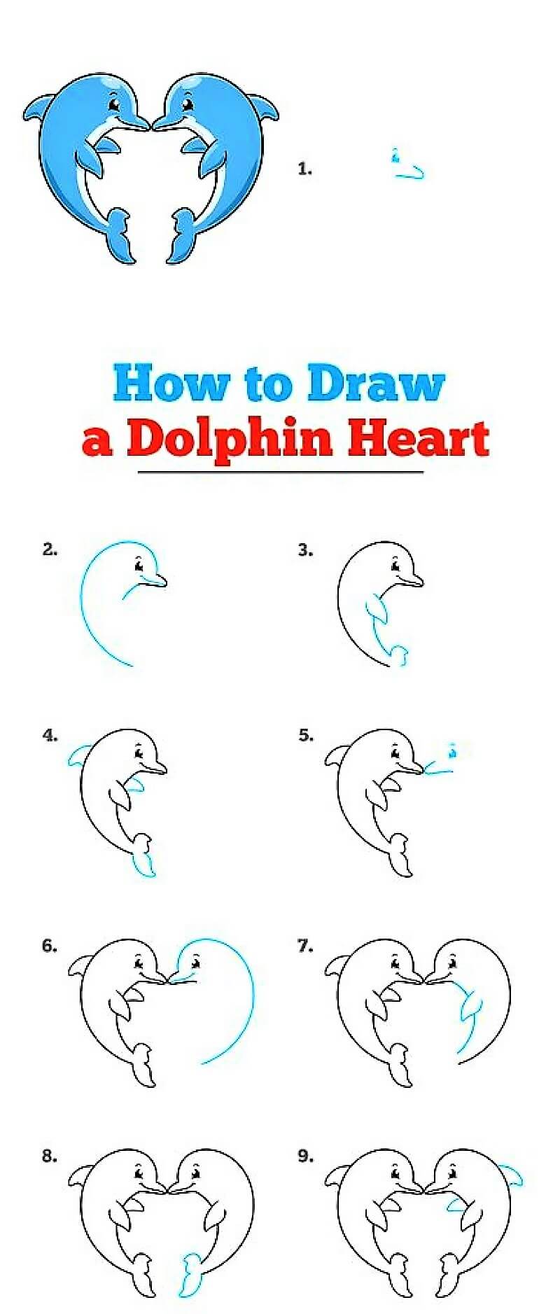 Delfiinin sydän piirustus