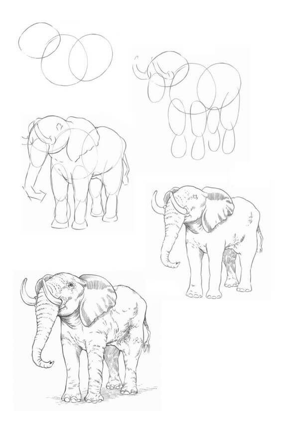 Elefantti idea (15) piirustus