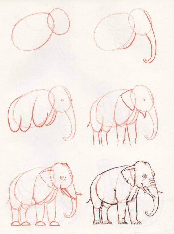 Elefantti idea (16) piirustus