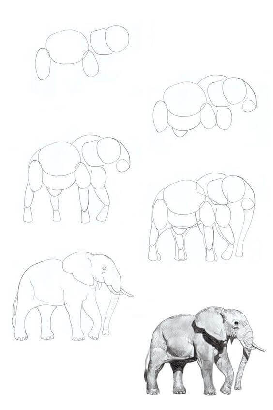 Elefantti idea (19) piirustus