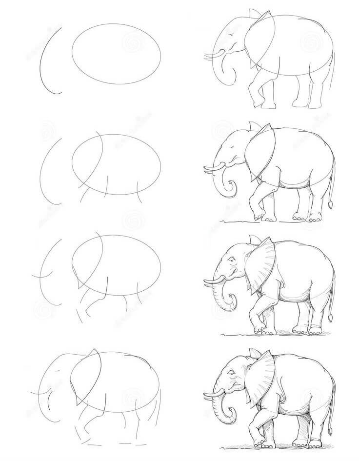 Elefantti idea (30) piirustus