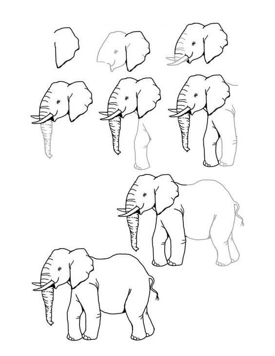Elefantti idea (35) piirustus