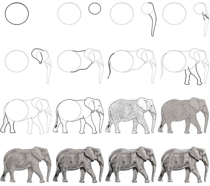 Elefantti idea (38) piirustus