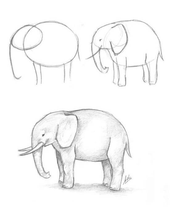Elefantti idea (40) piirustus