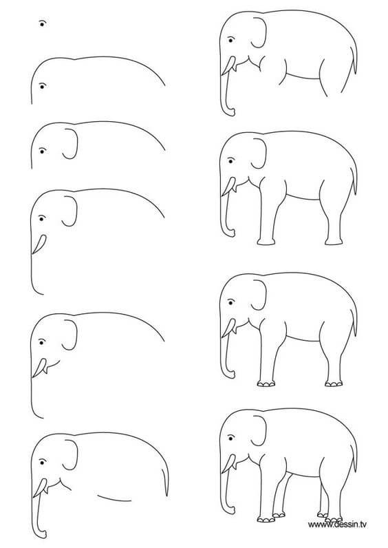 Elefantti idea (50) piirustus
