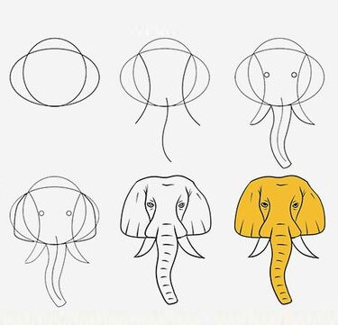 Elefantti idea (55) piirustus
