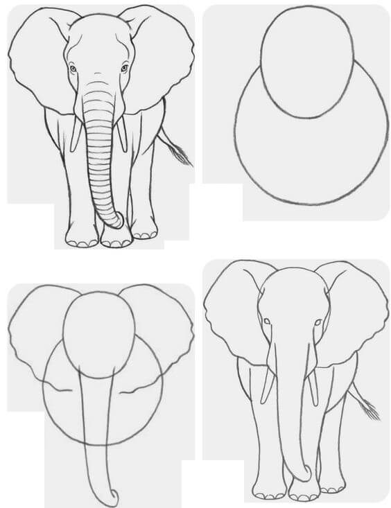 Elefantti idea (6) piirustus