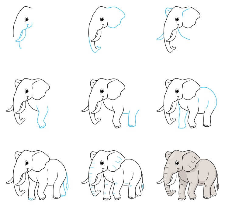 Elefantti idea (62) piirustus