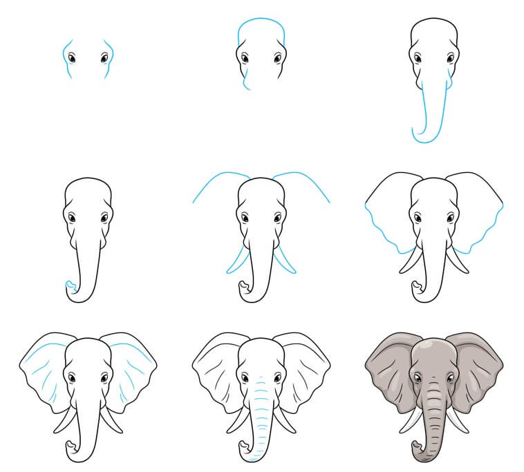 Elefantti idea (63) piirustus