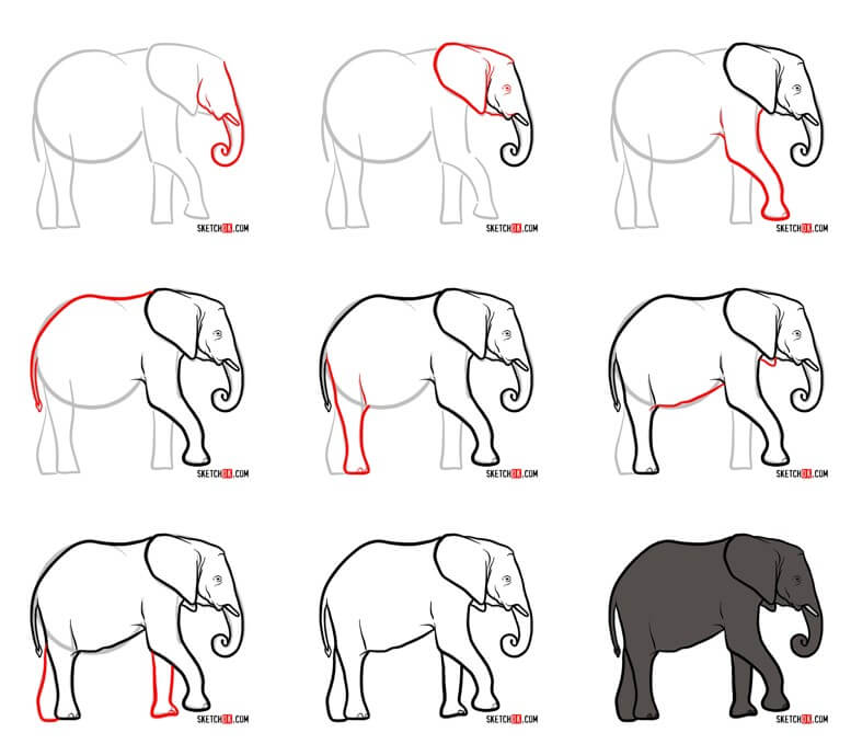 Elefantti idea (64) piirustus