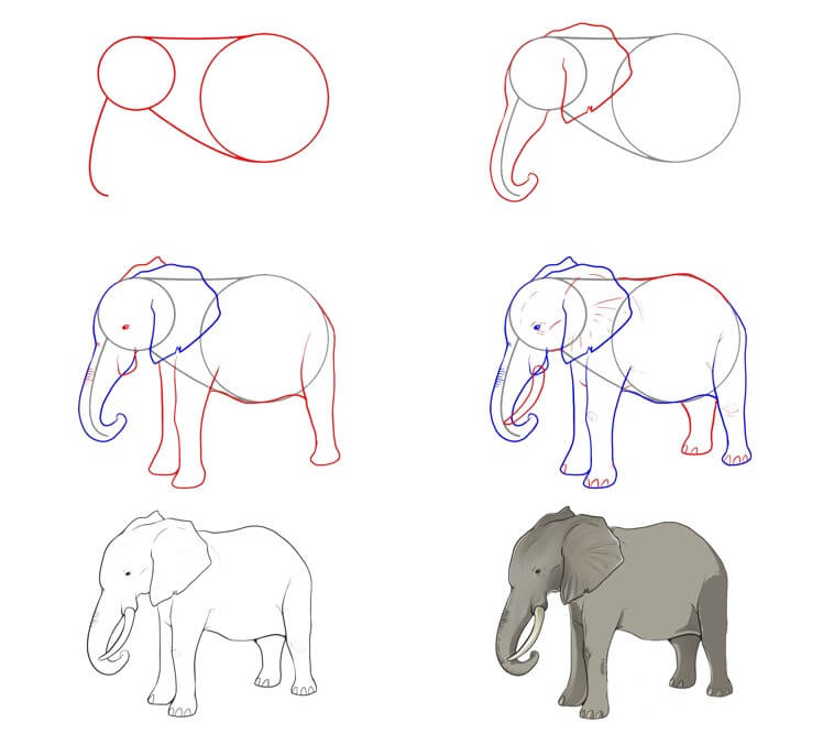 Elefantti idea (66) piirustus