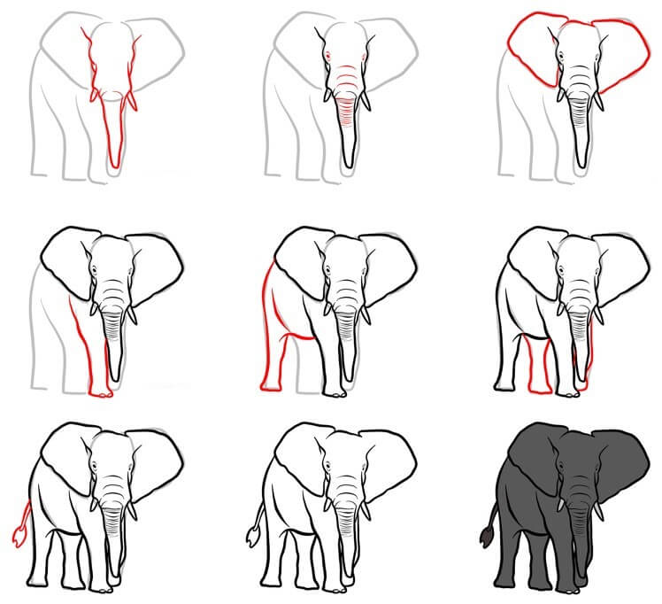 Elefantti idea (69) piirustus