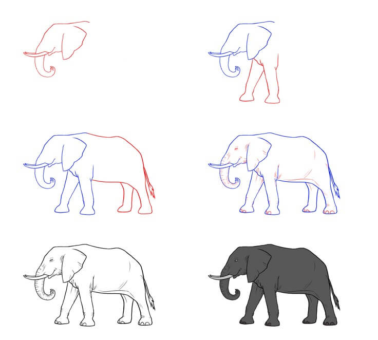 Elefantti idea (70) piirustus