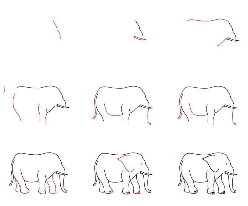 Elefantti idea (71) piirustus