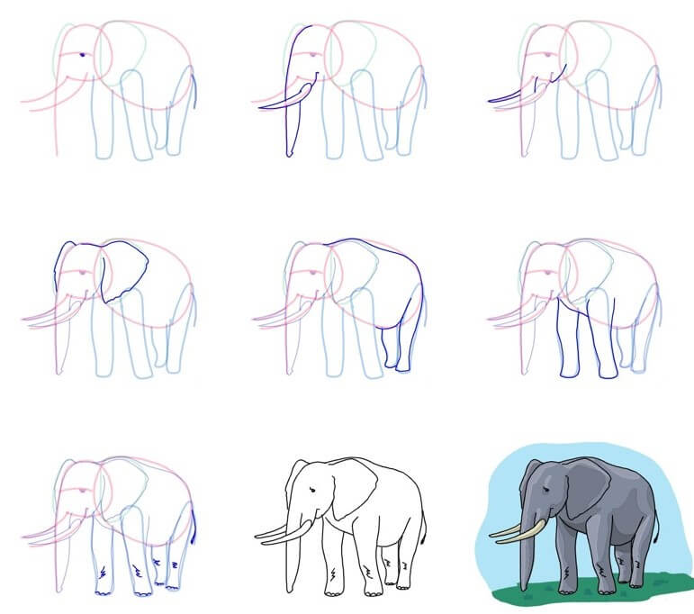 Elefantti idea (77) piirustus