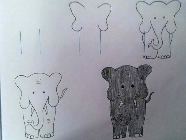Harmaa norsu piirustus