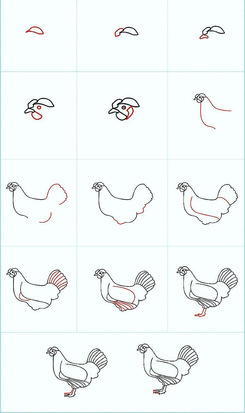 Kaunis Kana piirustus