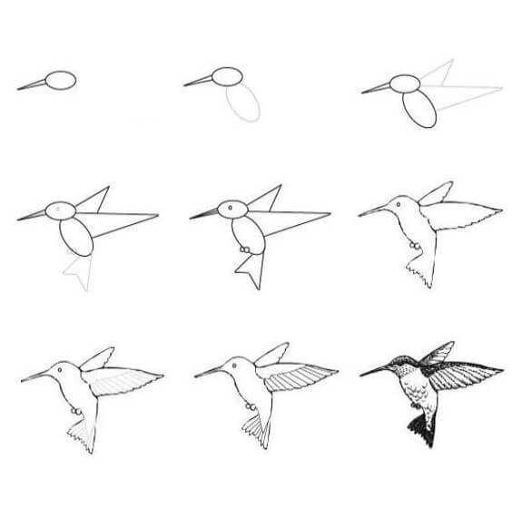 Kolibri (1) piirustus