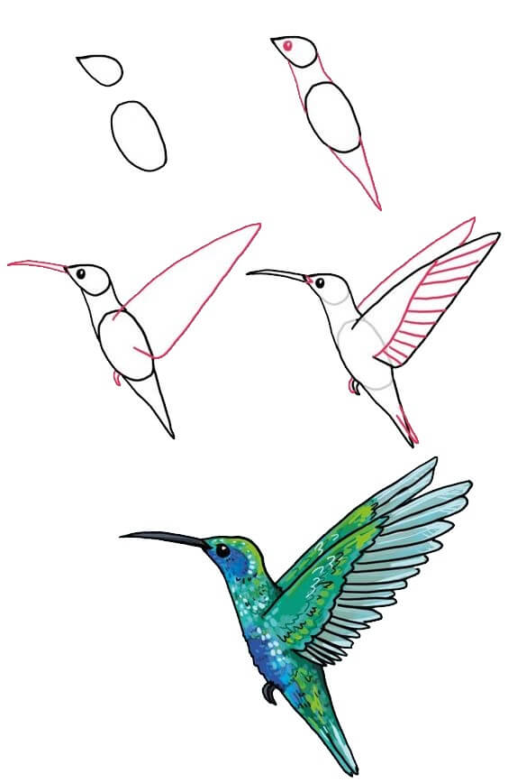 Kolibri (2) piirustus