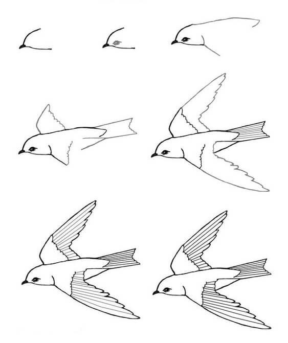 Linnunpesä (1) piirustus