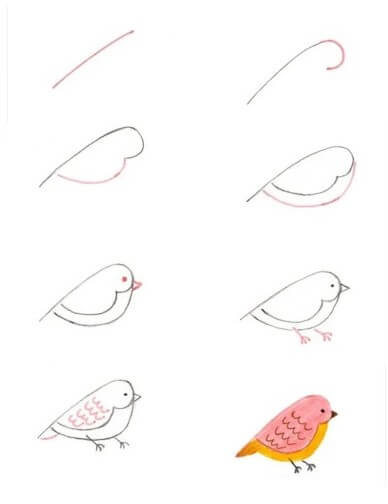 linnunpoika (2) piirustus