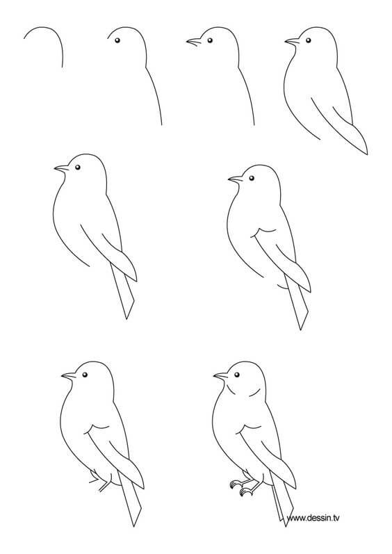 Lintu idea (10) piirustus
