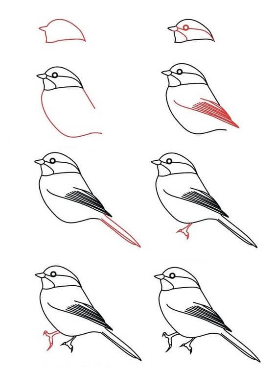 Lintu idea (11) piirustus