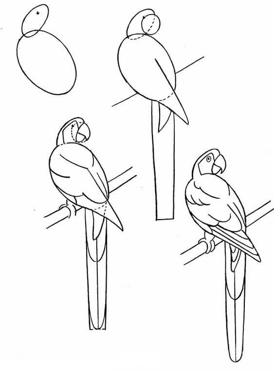 Lintu idea (12) piirustus