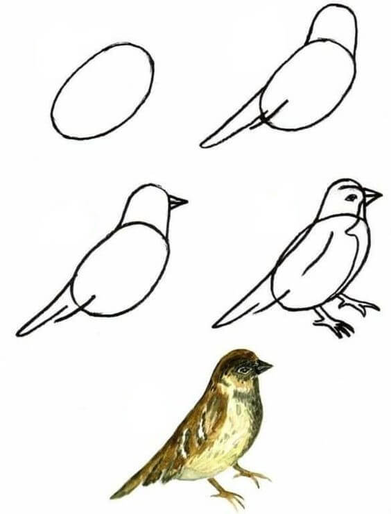 Lintu idea (14) piirustus